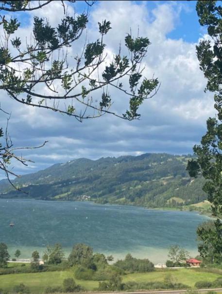 Fewo Alpenwiese Mit Hallenbad&Sauna Missen-Wilhams Ngoại thất bức ảnh