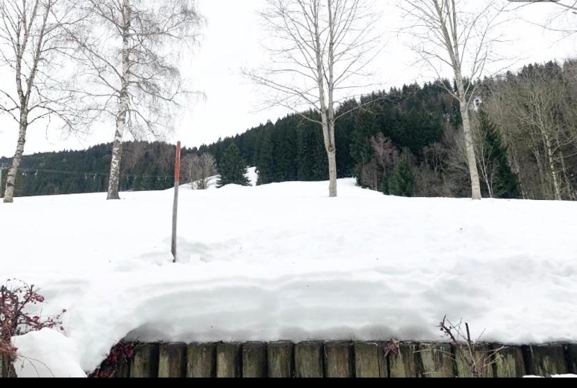 Fewo Alpenwiese Mit Hallenbad&Sauna Missen-Wilhams Ngoại thất bức ảnh