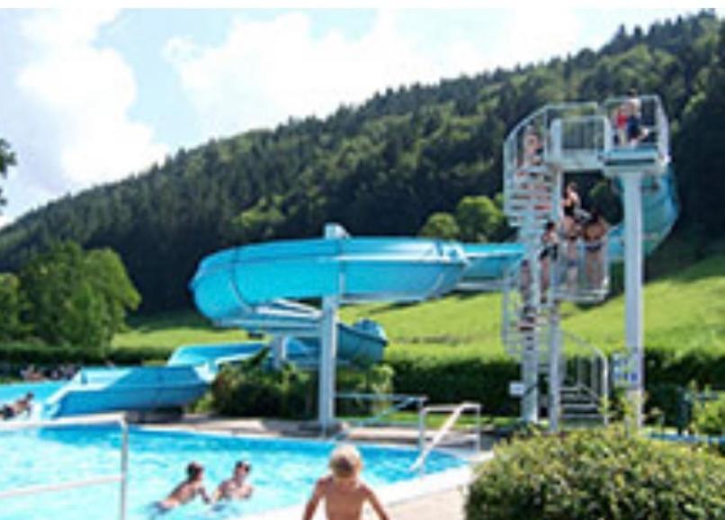 Fewo Alpenwiese Mit Hallenbad&Sauna Missen-Wilhams Ngoại thất bức ảnh
