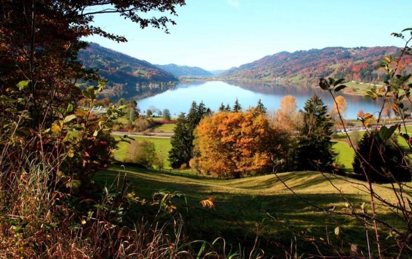 Fewo Alpenwiese Mit Hallenbad&Sauna Missen-Wilhams Ngoại thất bức ảnh